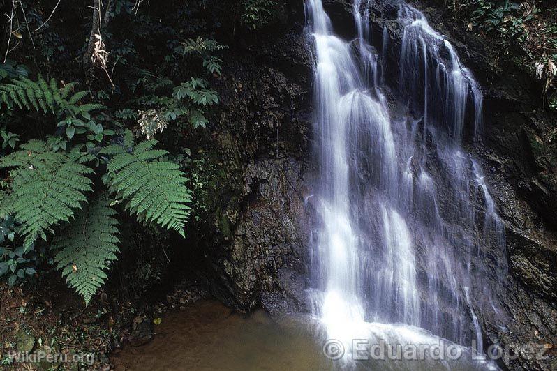 Waterfalls in Moyobamba