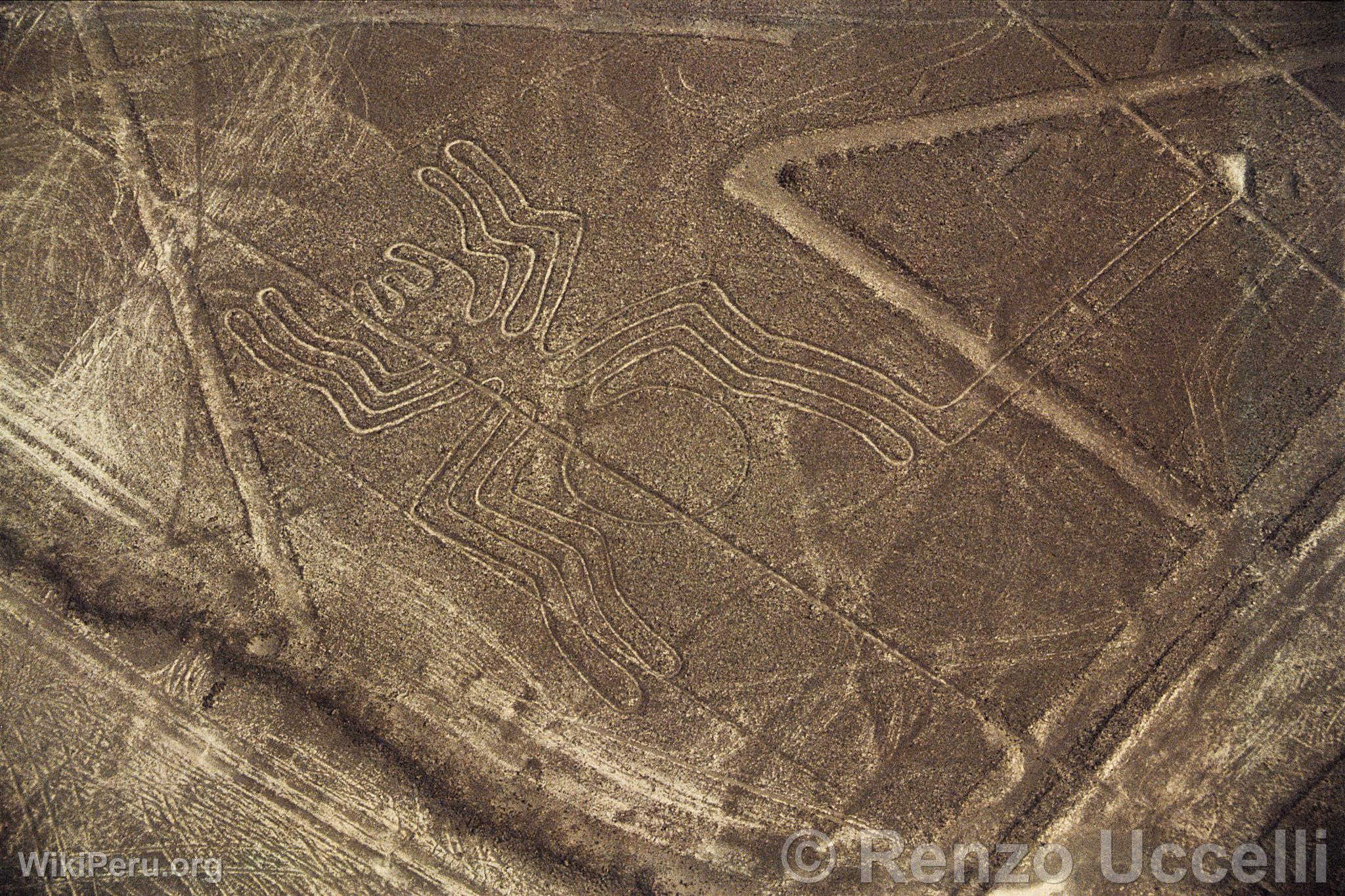 Nazca lines