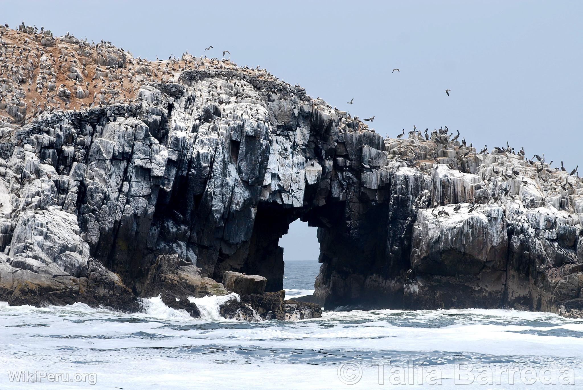 Palomino Islands, Callao