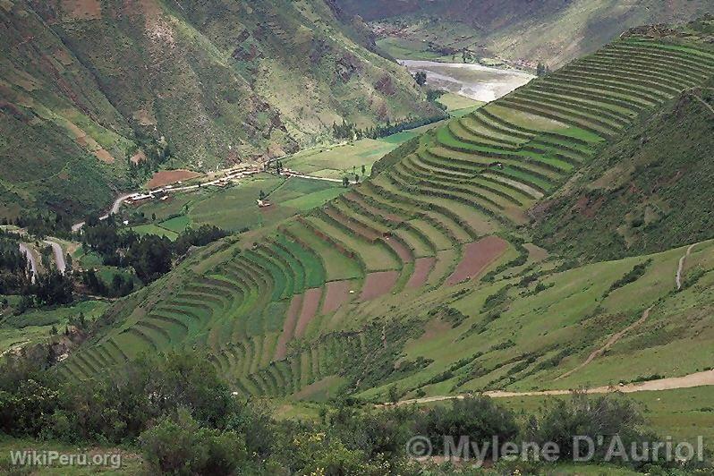 Terraces of Pisac