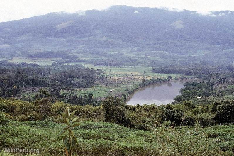 View of the Mayo River