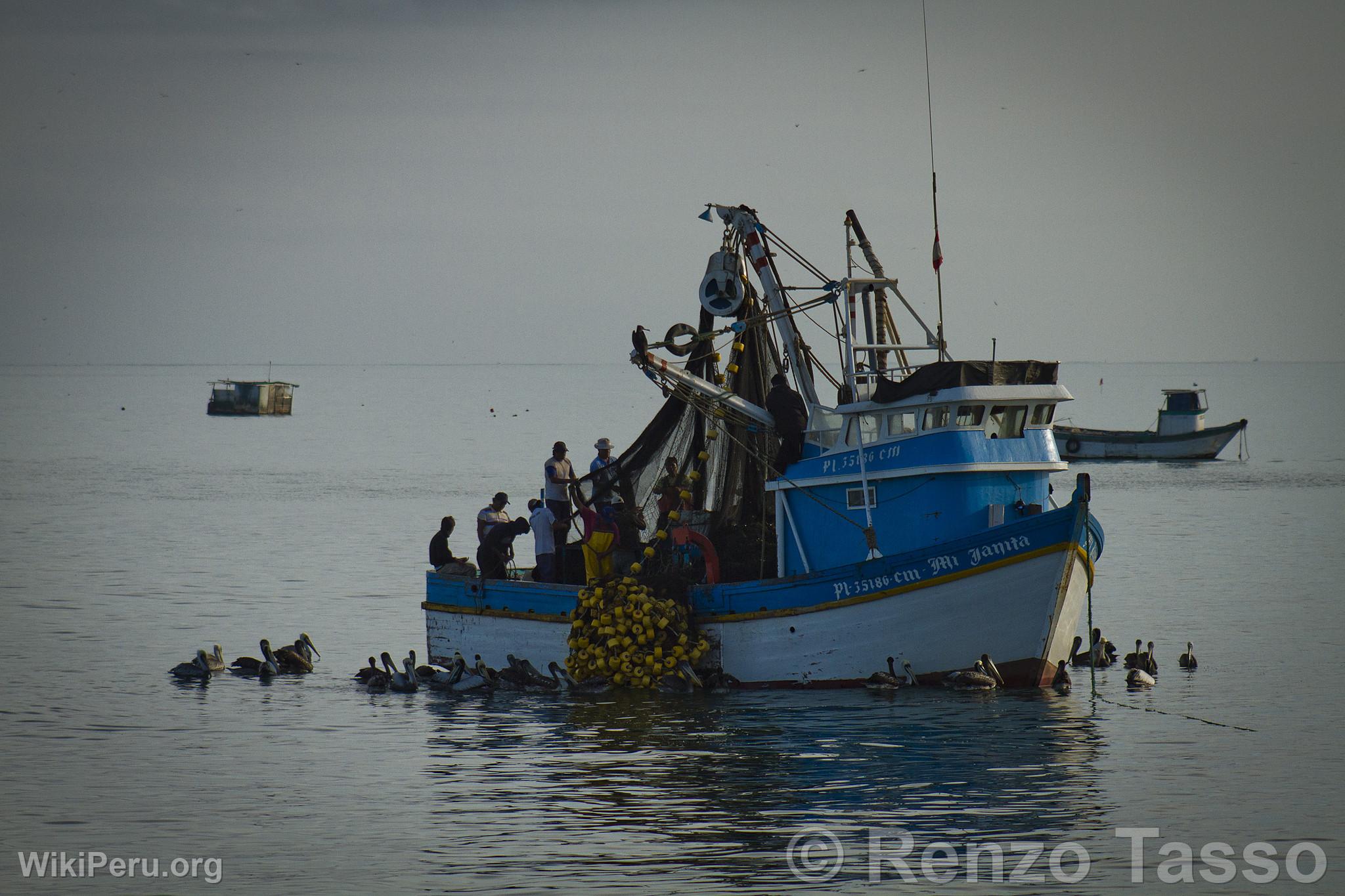 Fishing Boat