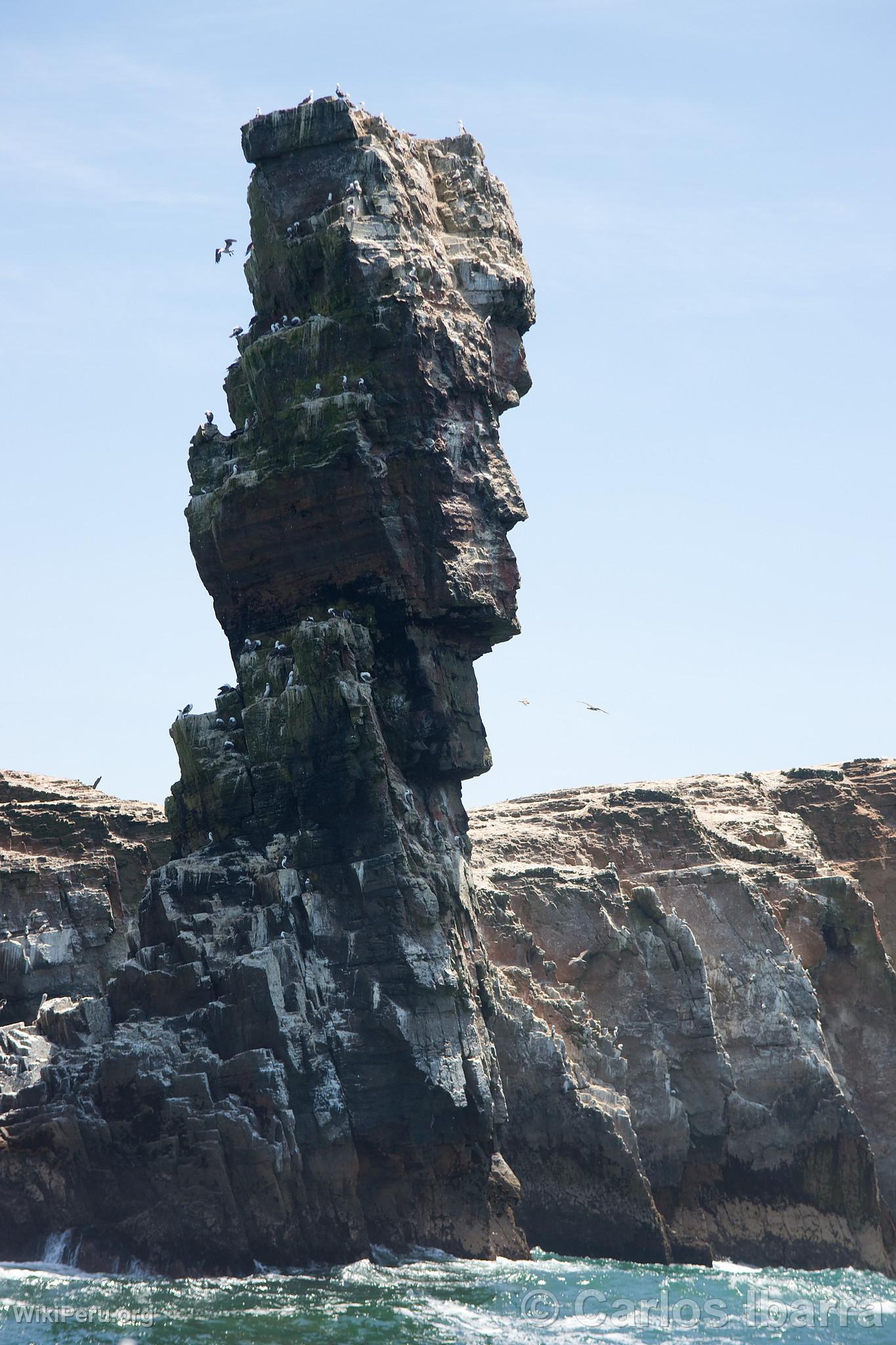 Palomino Islands, Callao