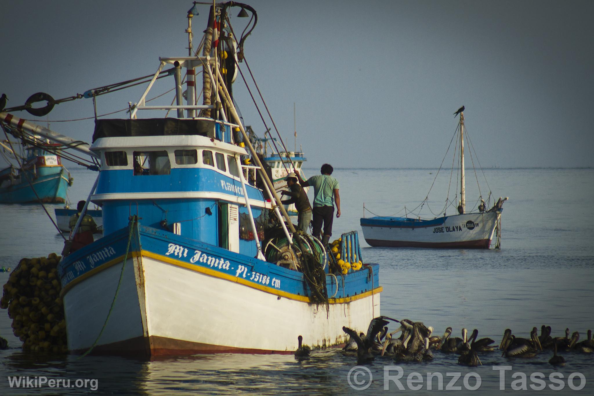 Fishing Boats