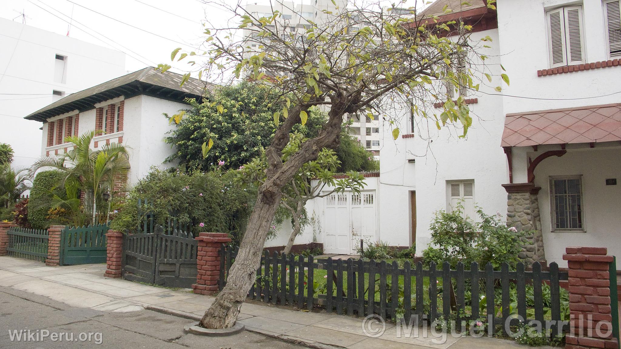 Miraflores House, Lima