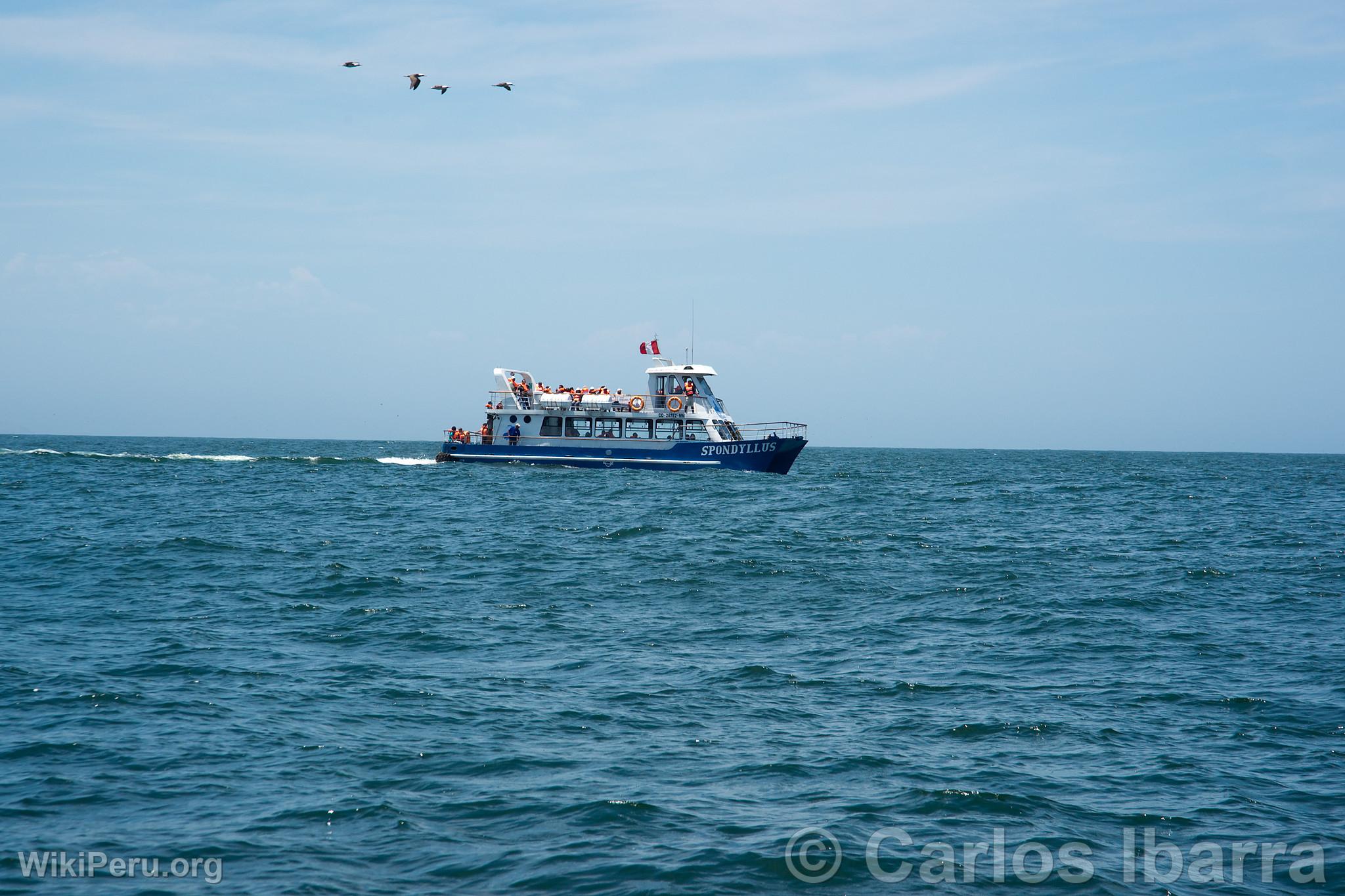 Yacht with Tourists at Palomino Islands, Callao