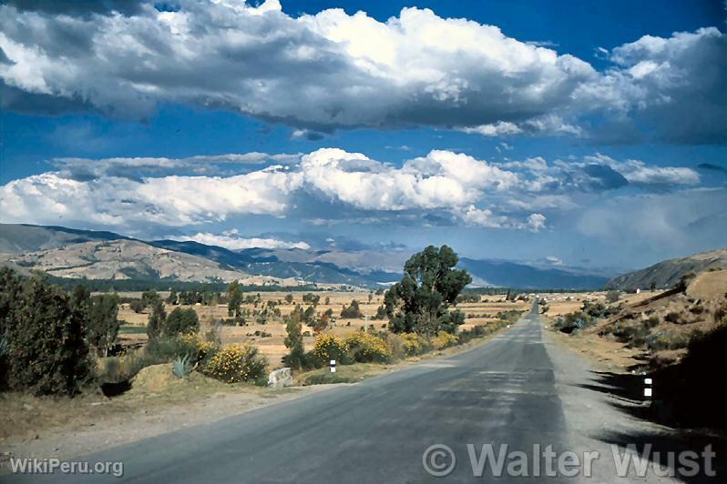 Road in Junn