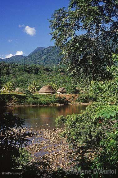 Hills in the Loreto Jungle