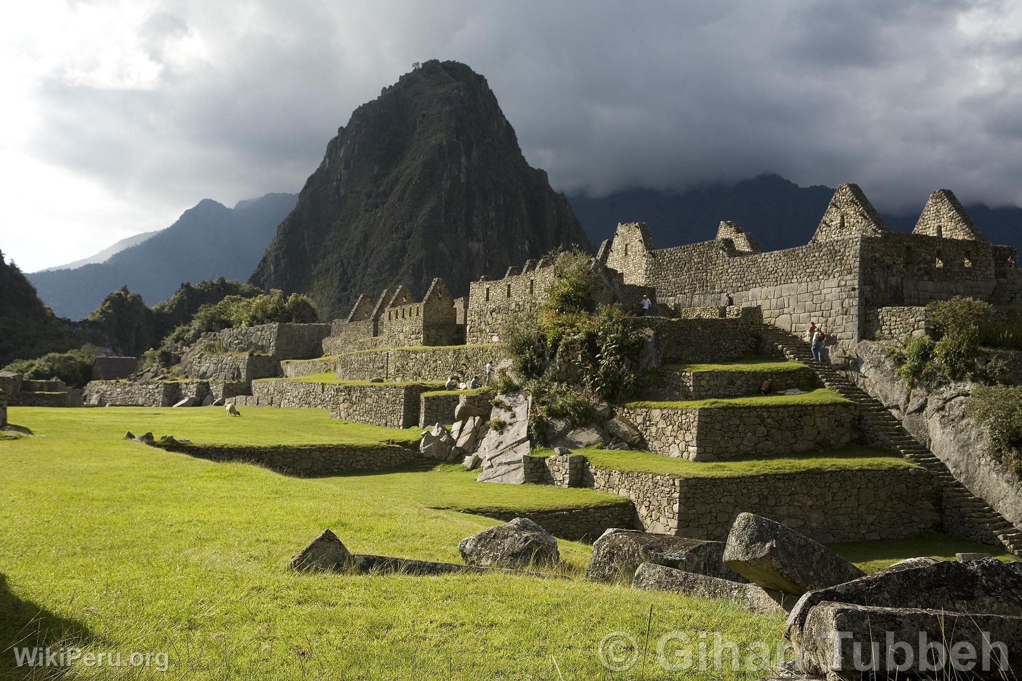 Citadel of Machu Picchu