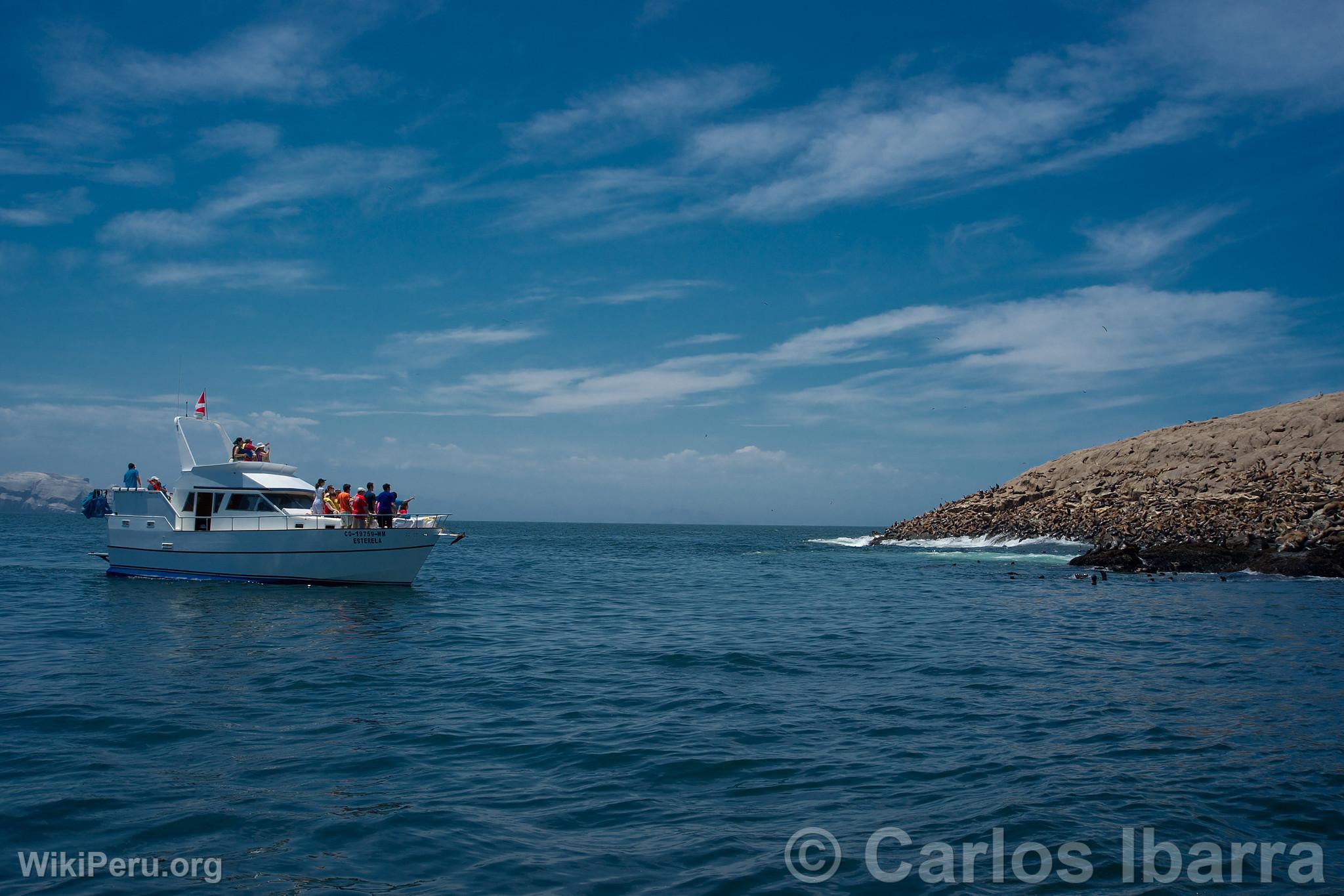 Yacht with Tourists at Palomino Islands, Callao