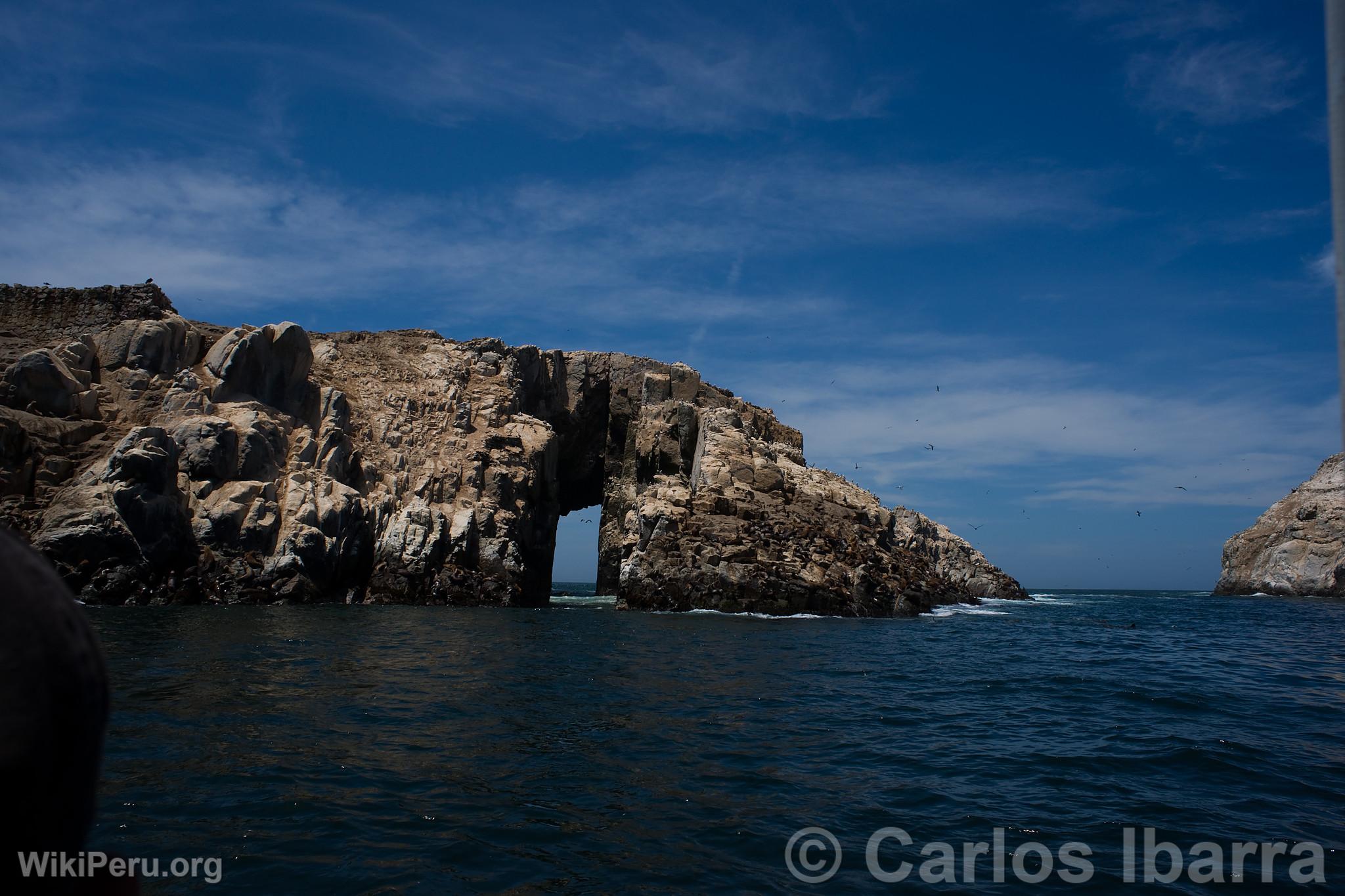 Palomino Islands, Callao