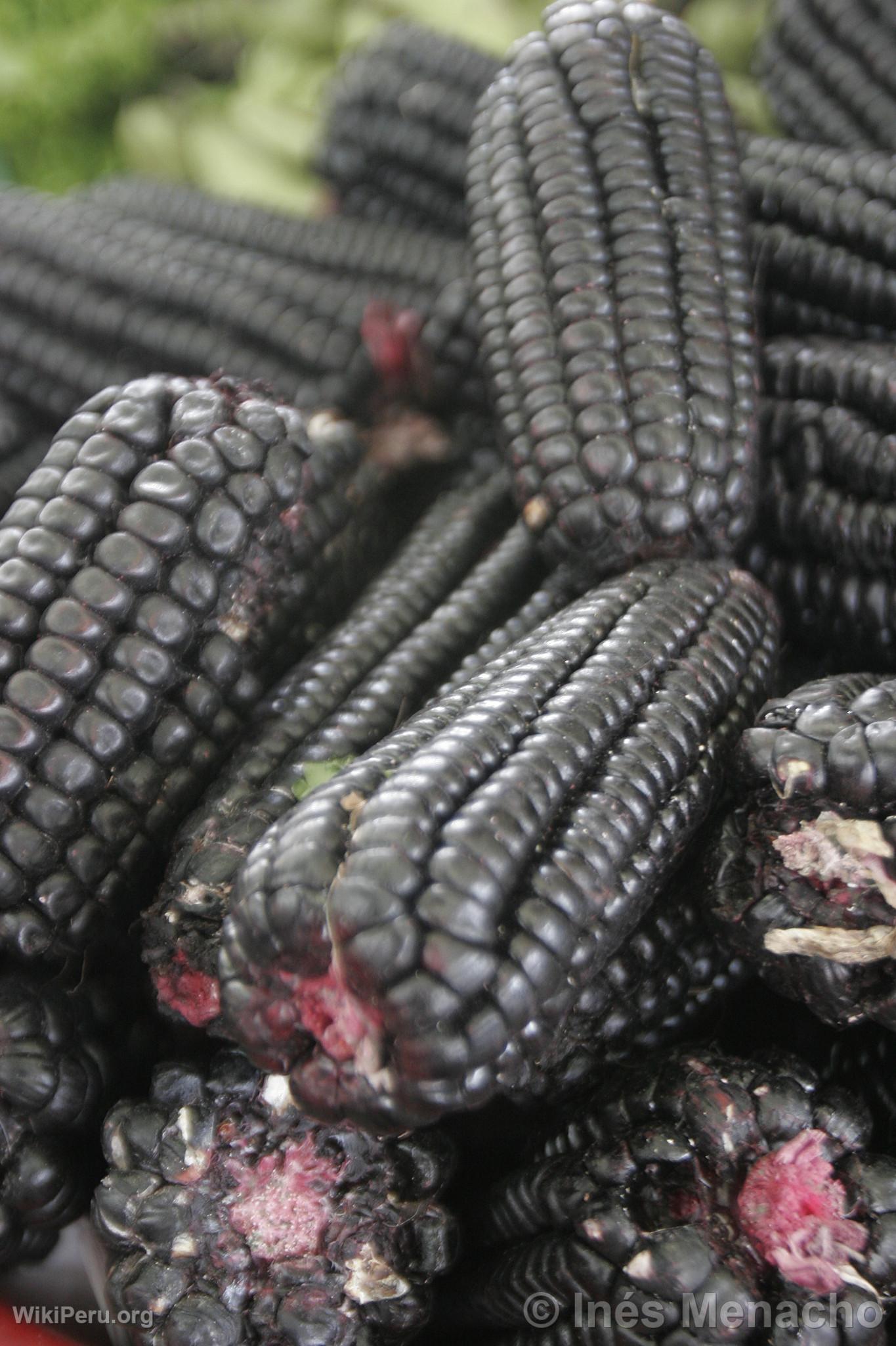 Purple Corn