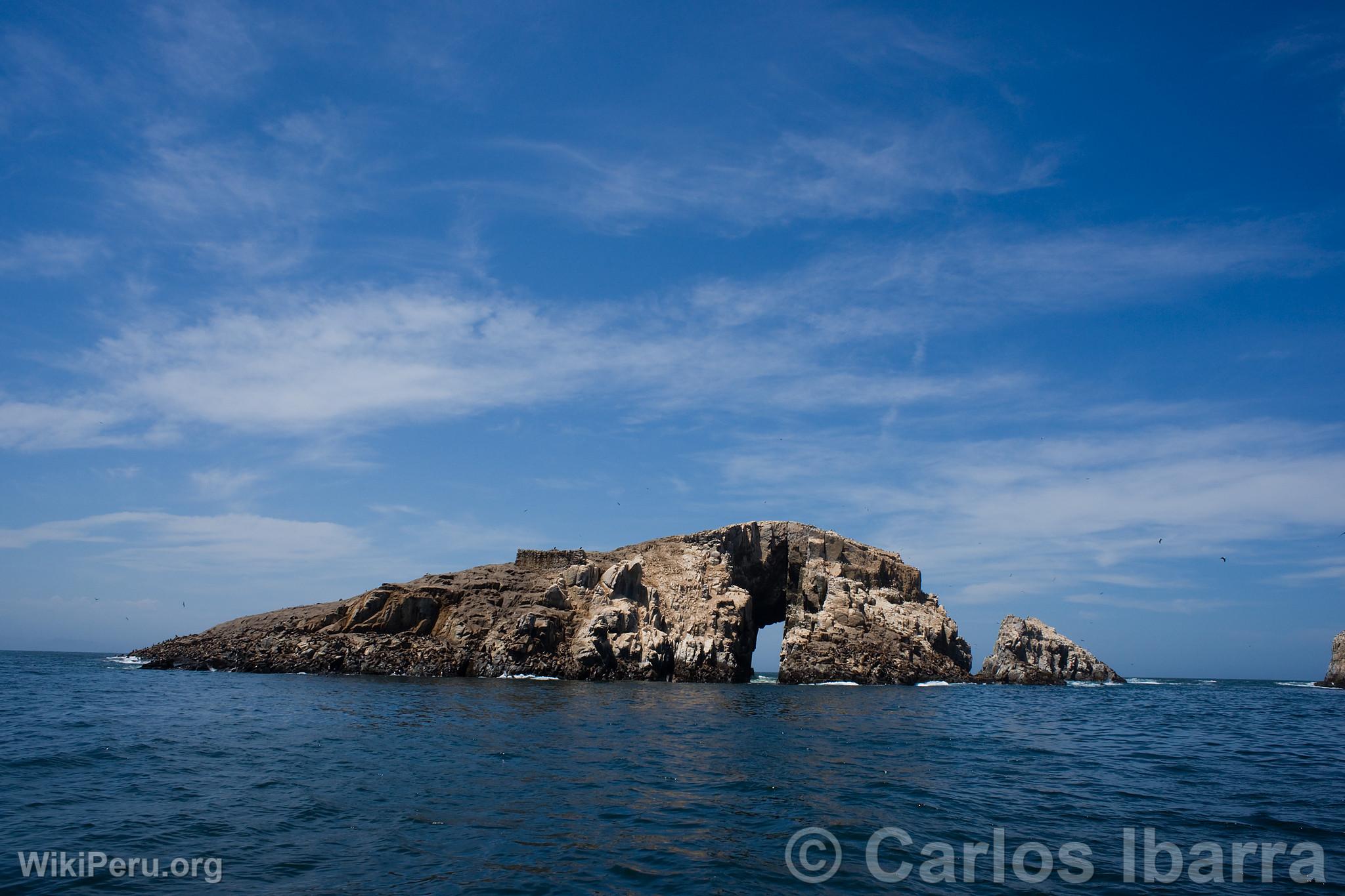 Islet of Palomino Islands, Callao