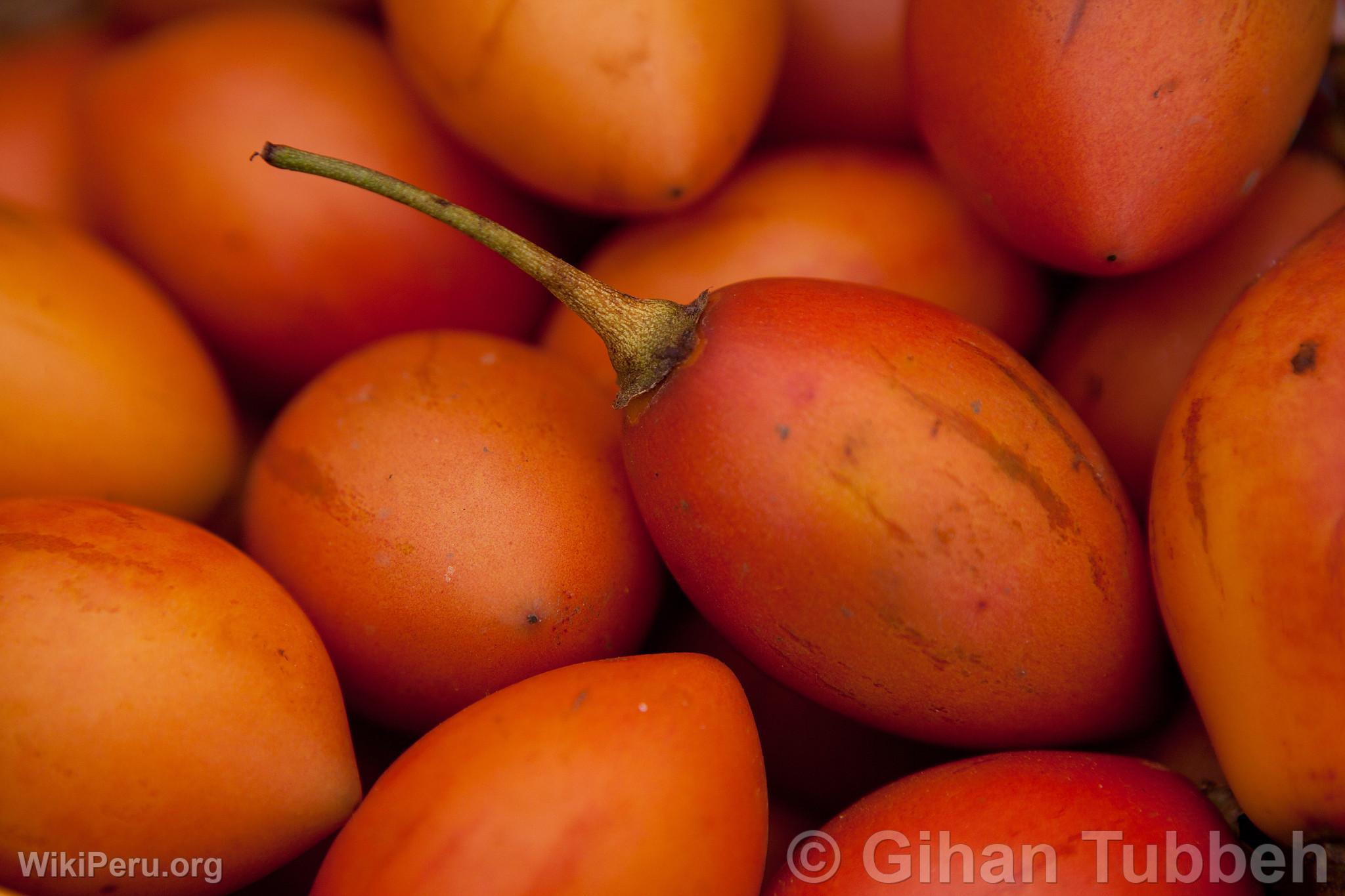 Tamarillo