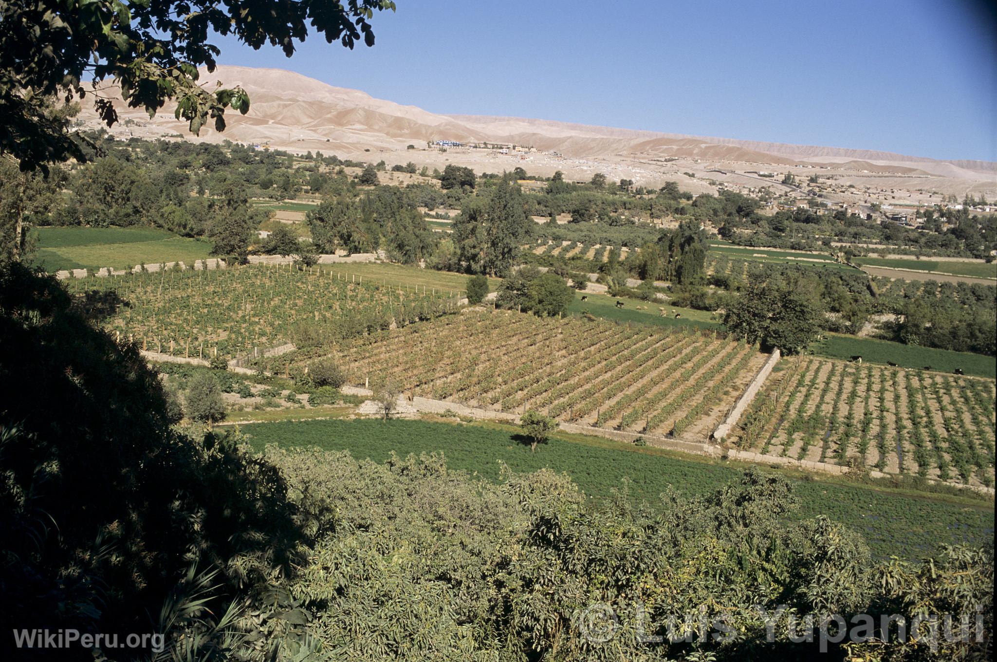 Torata Countryside