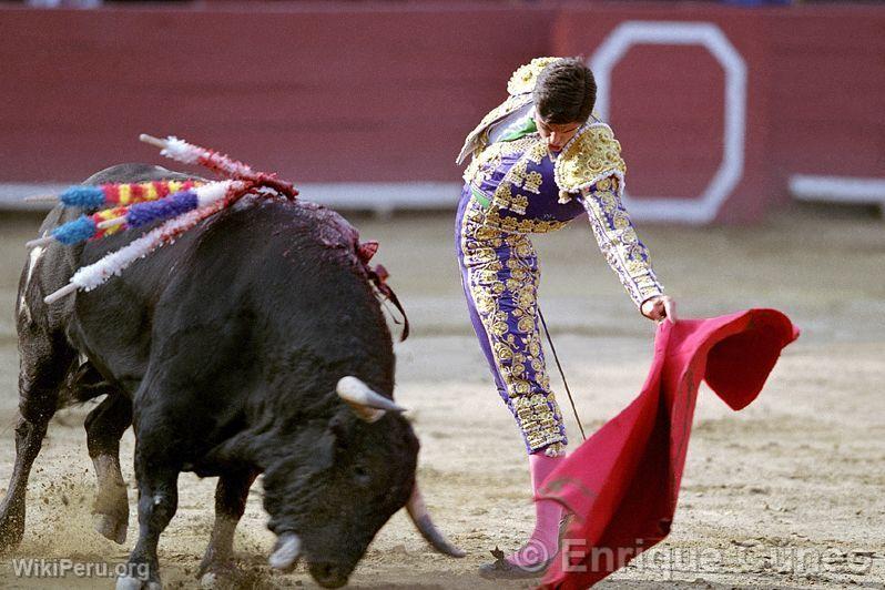 Bullfight, Lima