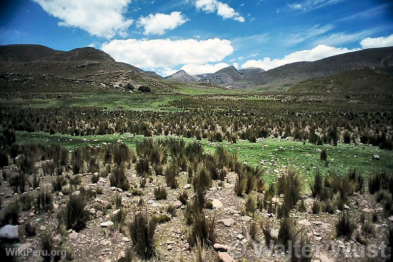 Pramo Landscape in Huancavelica