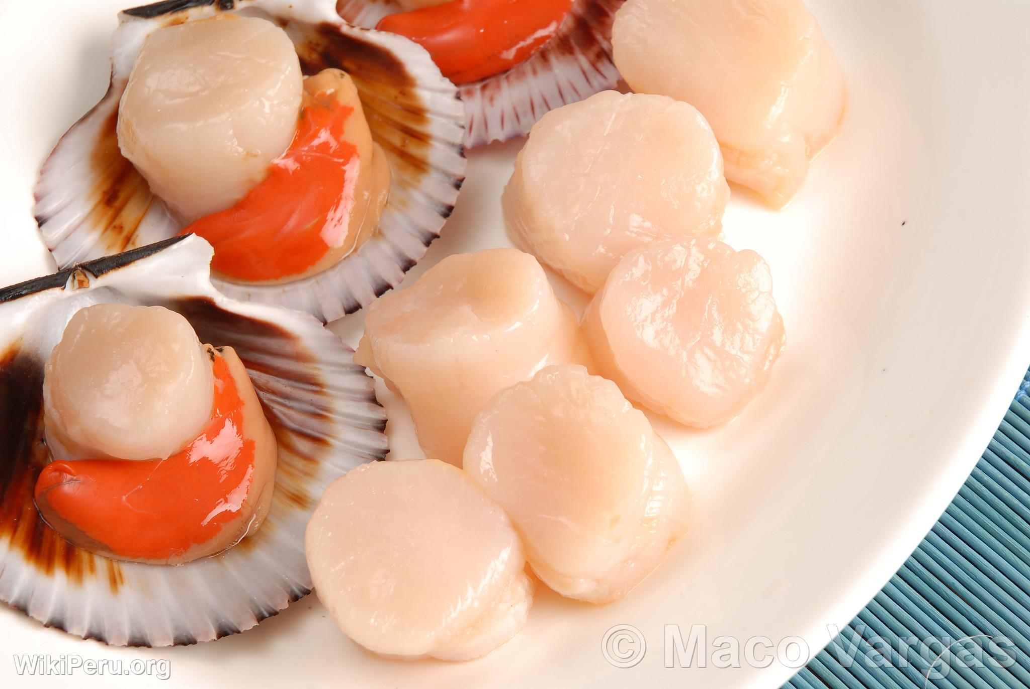 Scallops