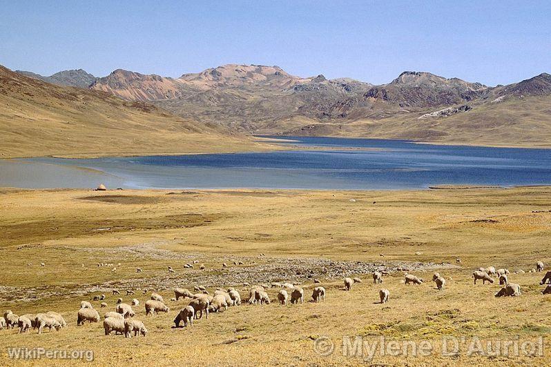 Huascacocha Lagoon