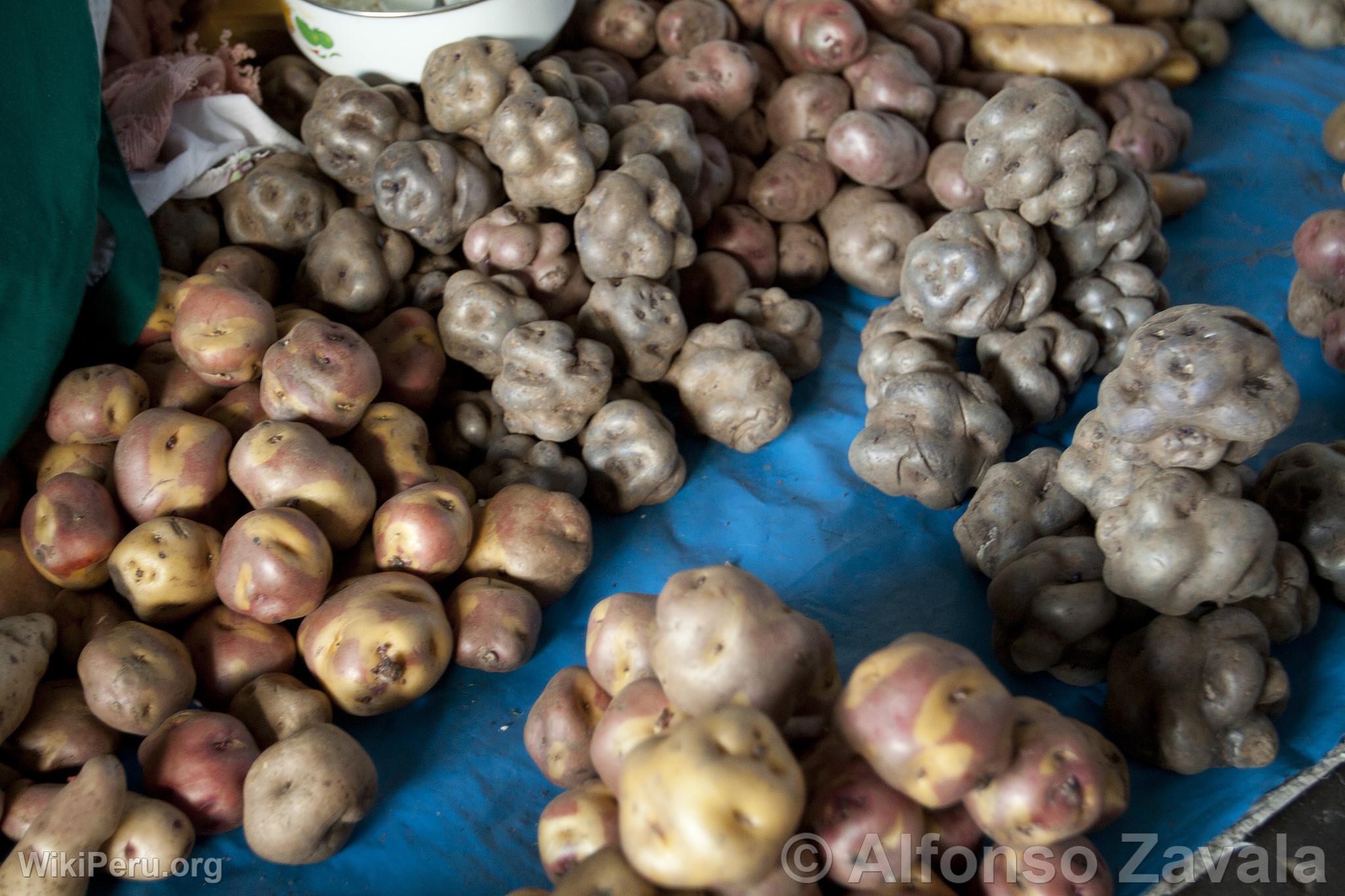 San Pedro Market