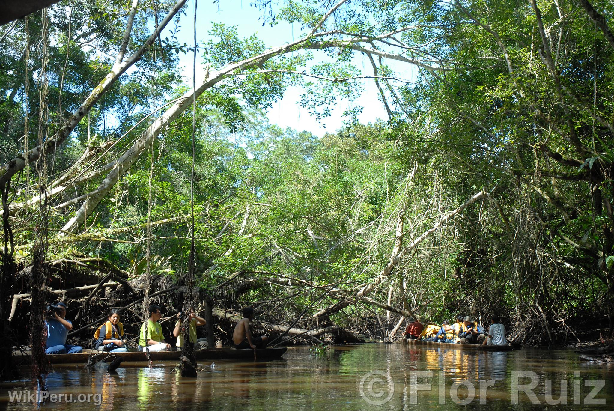 Tingana Reserve