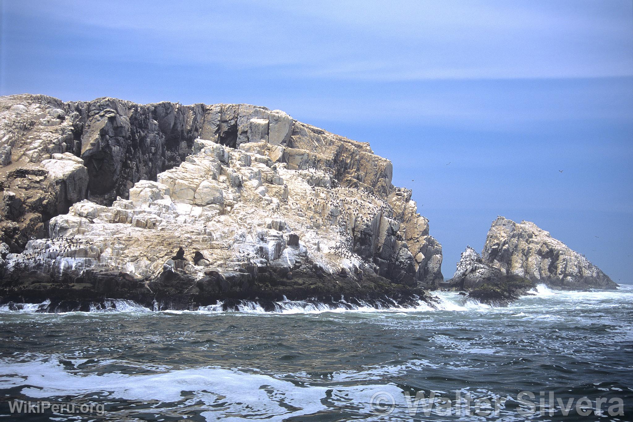 Palomino Island, Callao