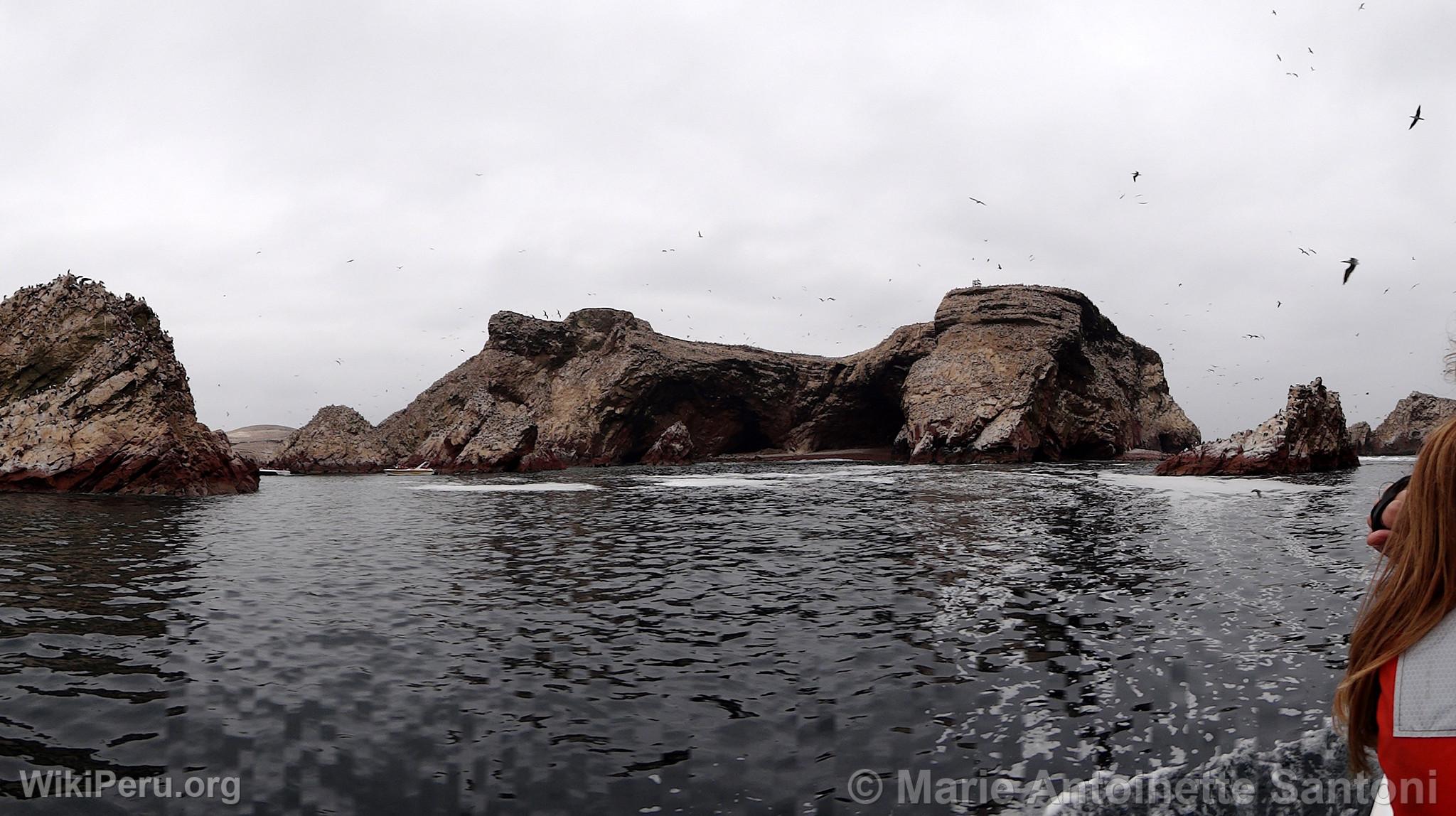 Ballestas Islands, Paracas