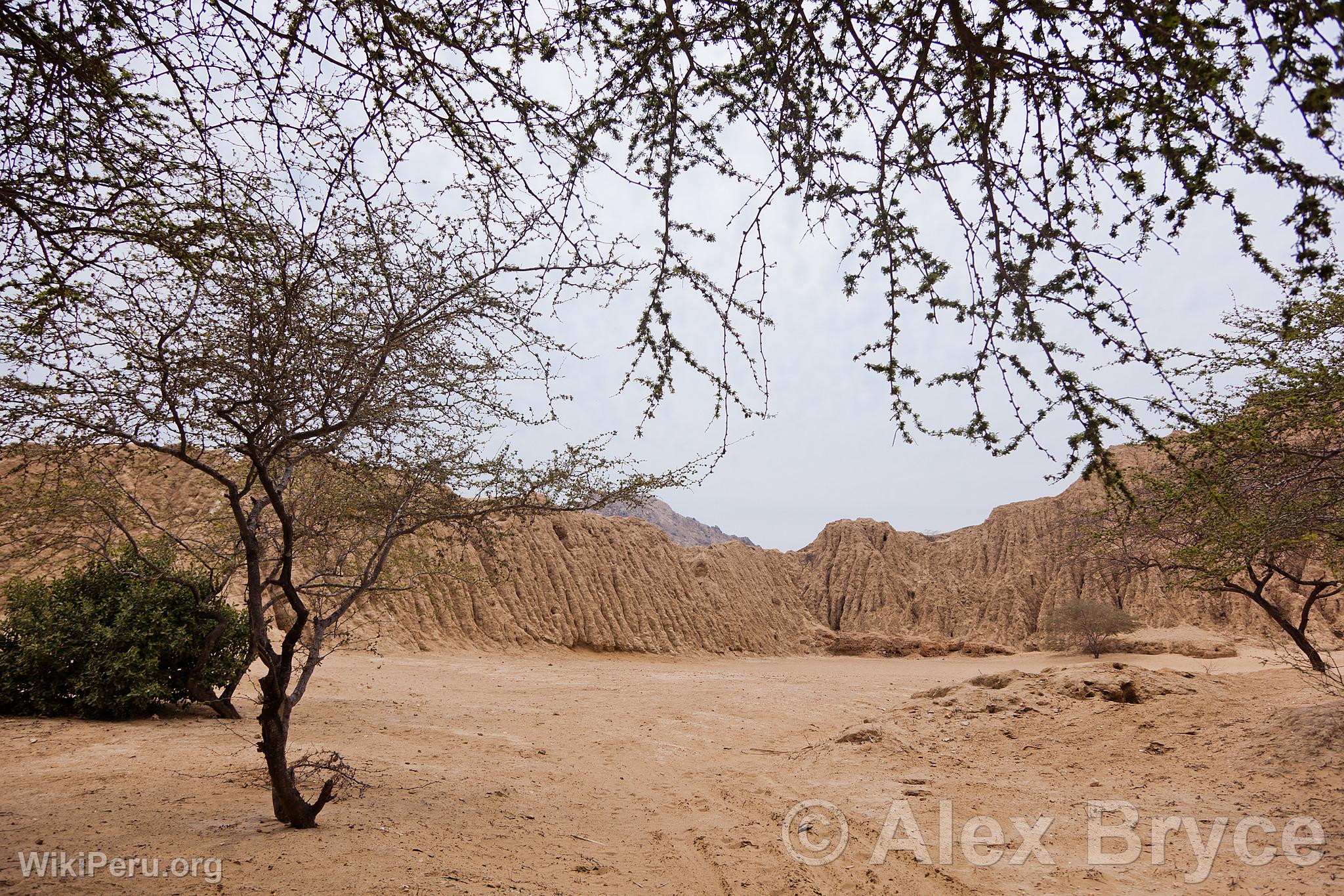 Valley of the Pyramids of Tcume