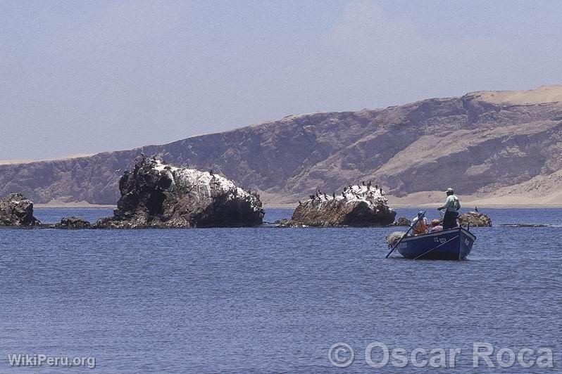 Pisco Coastline