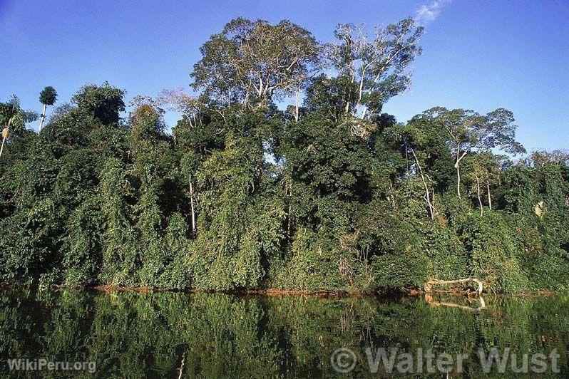 Manu Biosphere Reserve. Cuzco-Madre de Dios