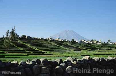 Arequipa Countryside