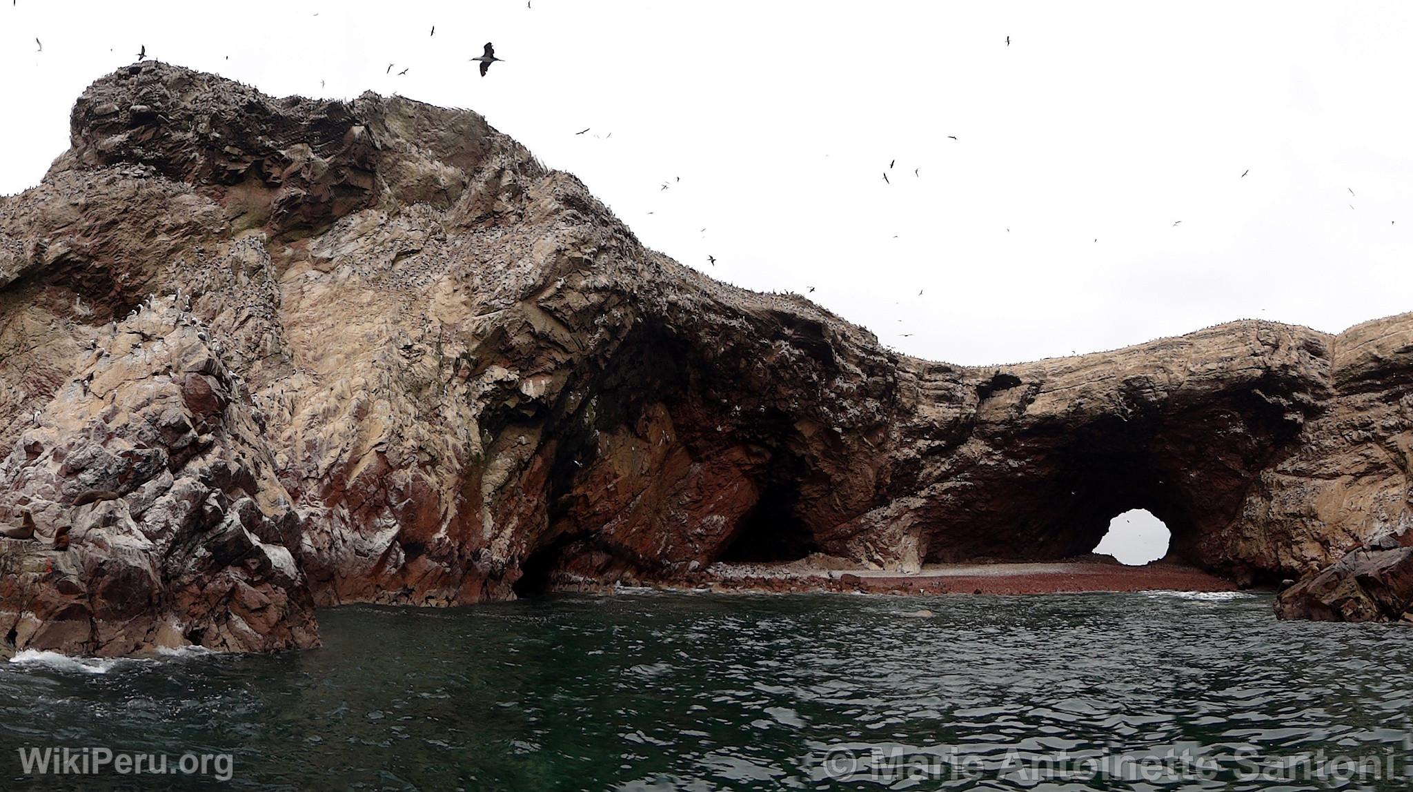 Ballestas Islands, Paracas