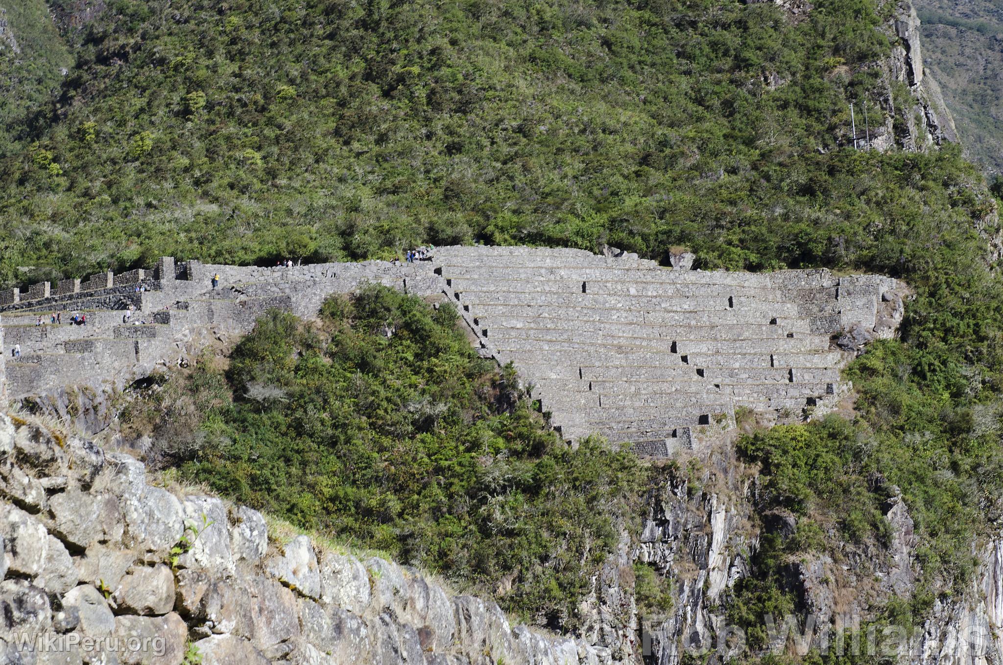 Citadel of Machu Picchu