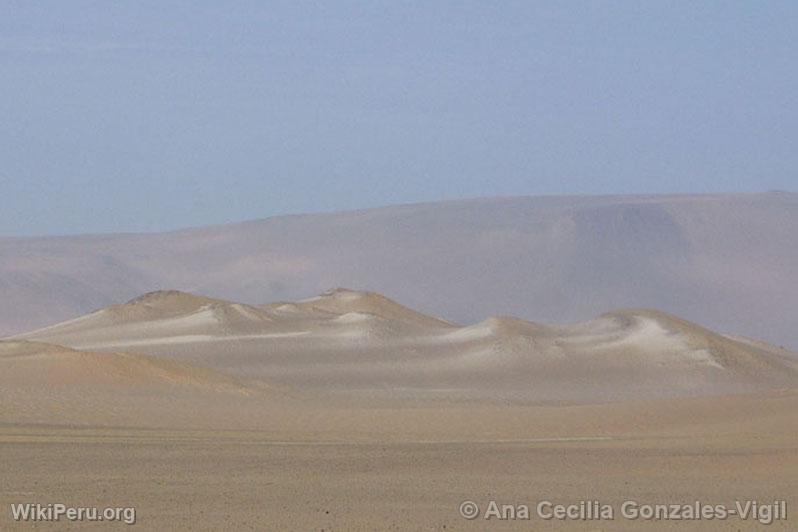 Dunes in Paracas