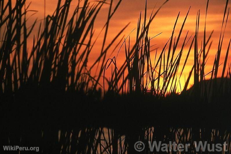 Meja Lagoons National Sanctuary