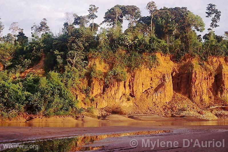 Tambopata - Candamo