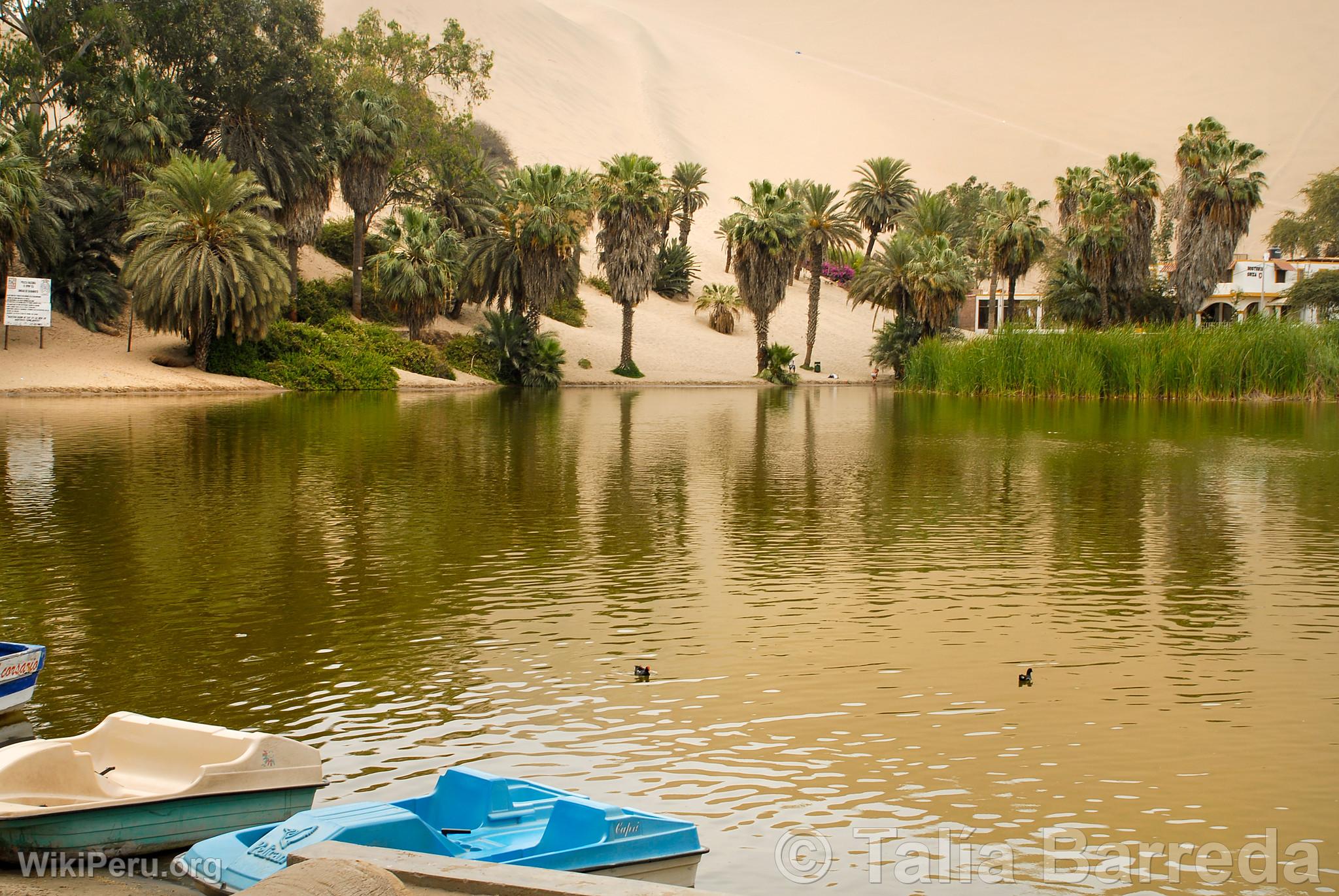 Lagoon of Huacachina