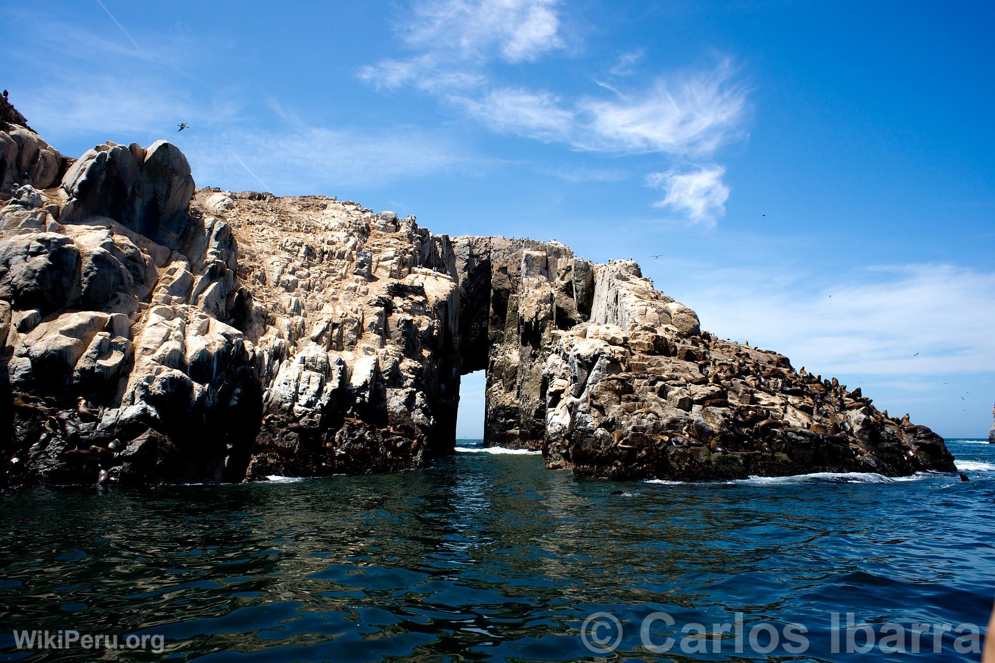 Palomino Islands, Callao