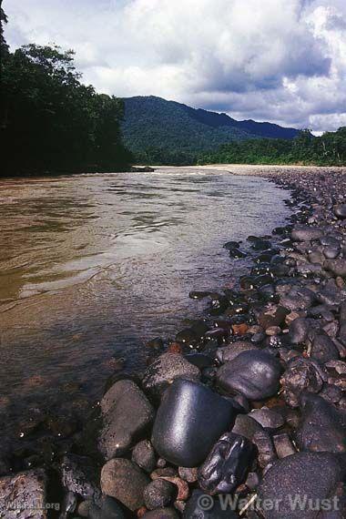 Bahuaja-Sonene National Park