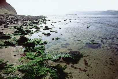 View of the Coast, Paracas