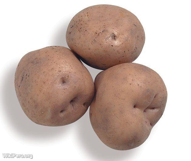 Potato