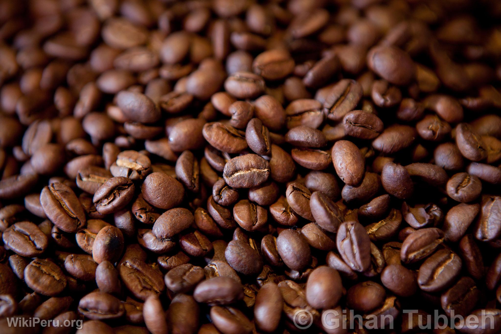 Coffee Beans