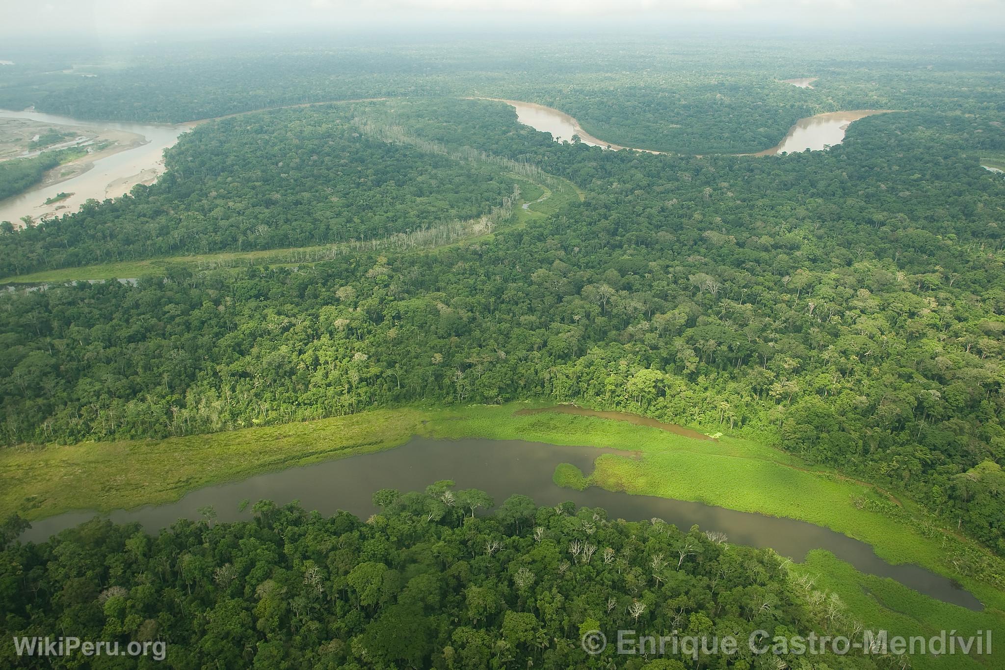 Manu National Park