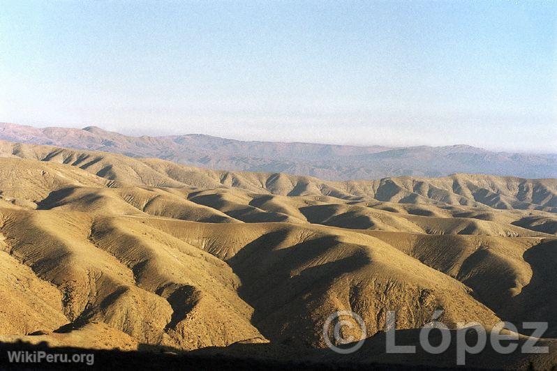 Pampa Galeras National Reserve, Ayacucho