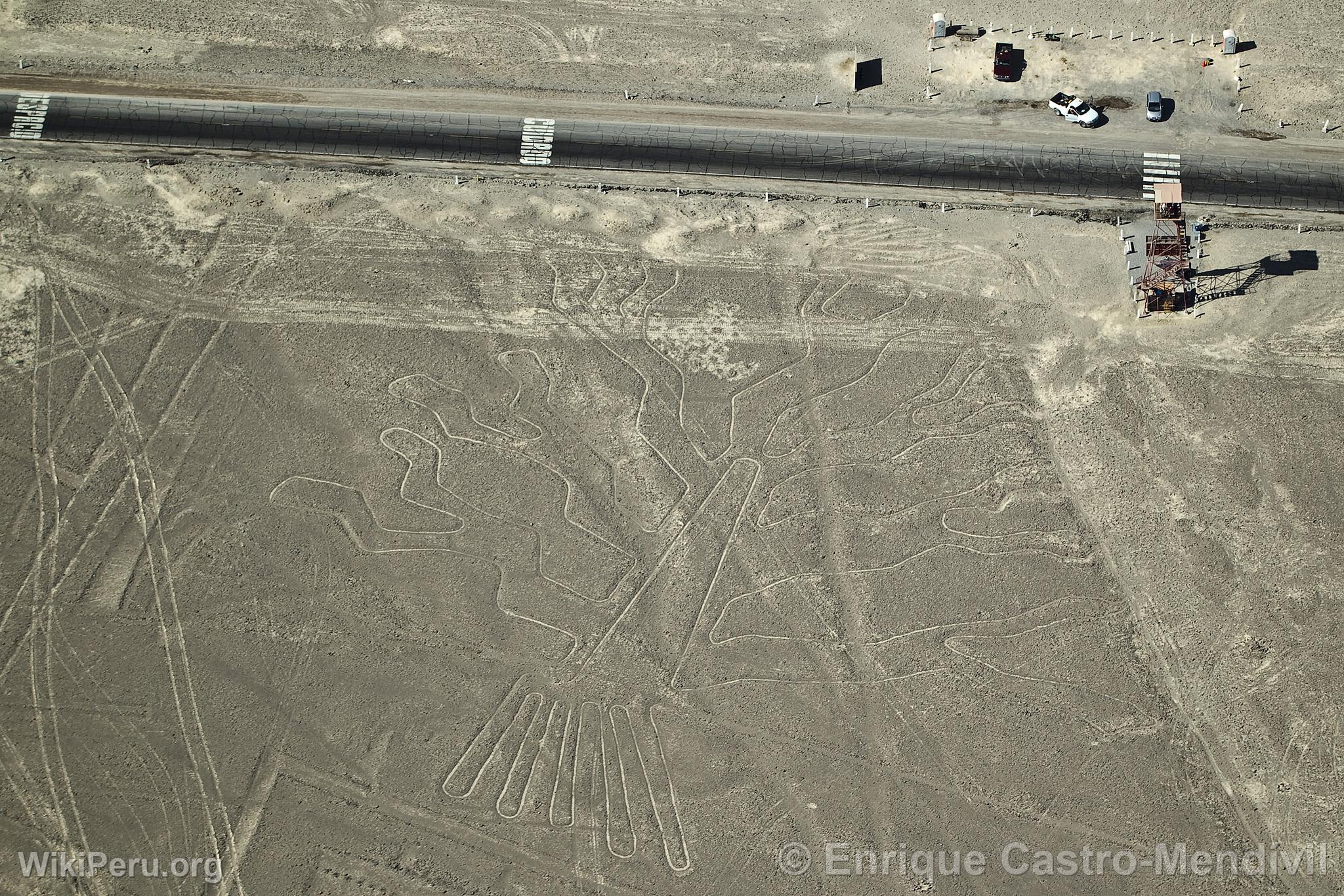 Nazca lines