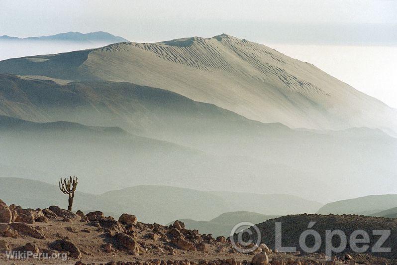 Pampa Galeras National Reserve, Ayacucho