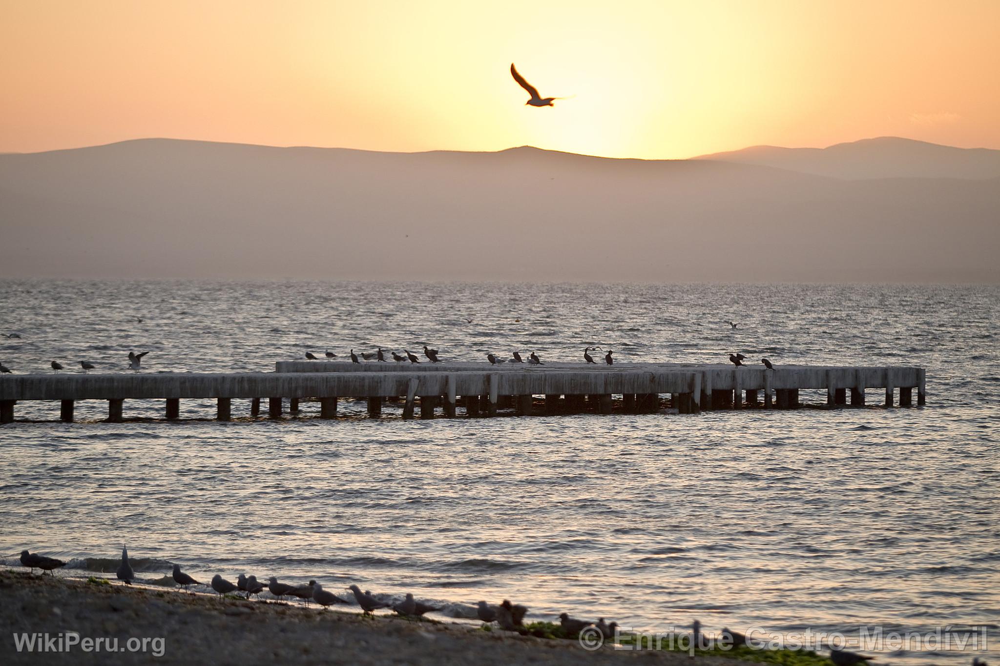 Libertador Hotel in Paracas