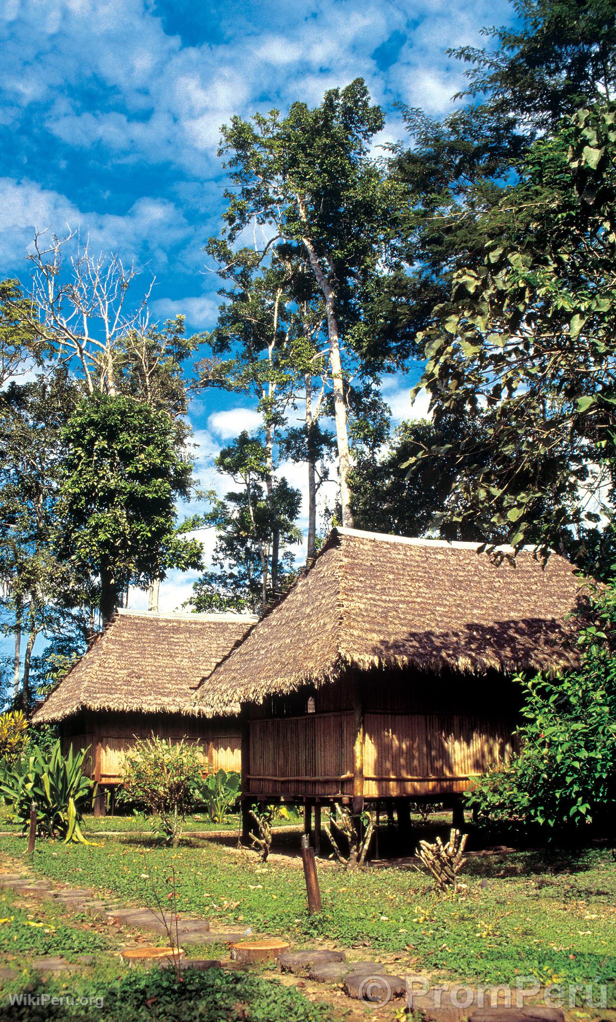 Lodge in Iquitos