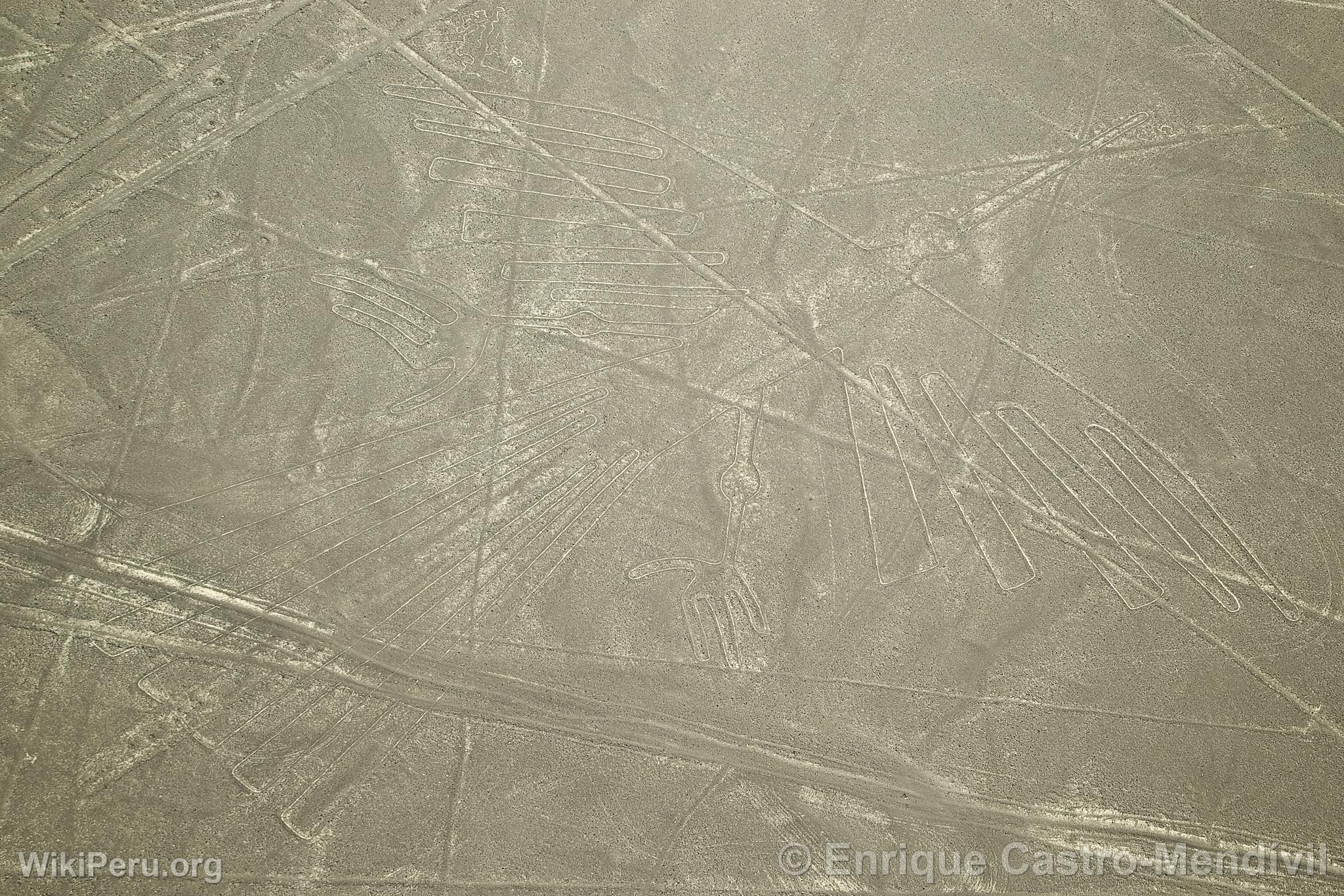 Nazca lines