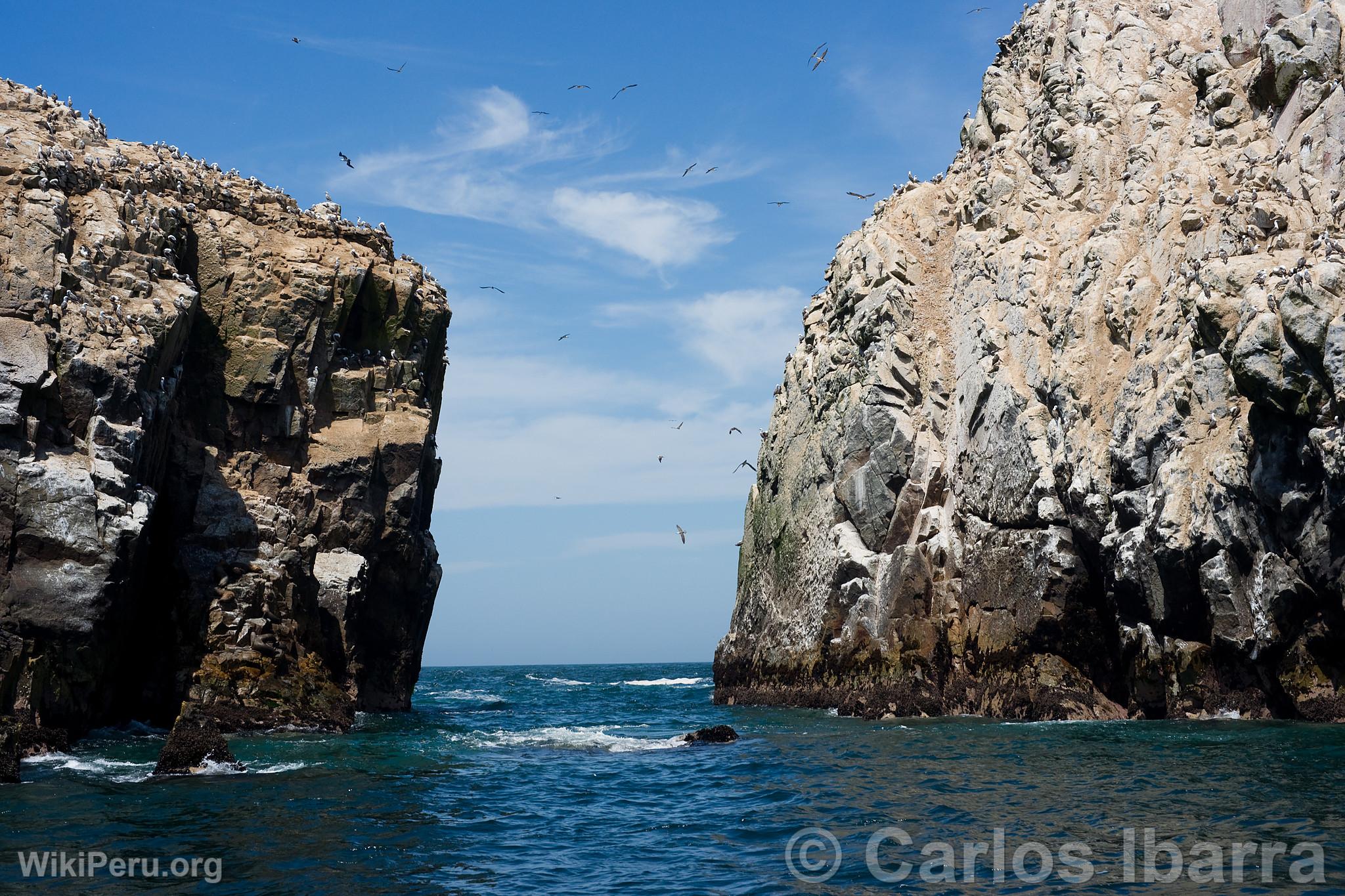 The Palomino Islands, Callao